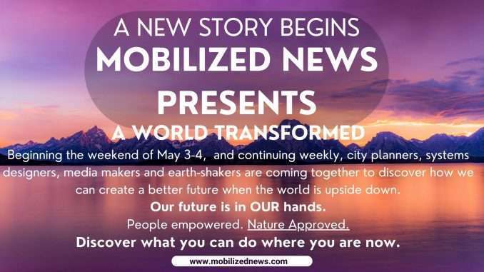 mobilized news network (3)