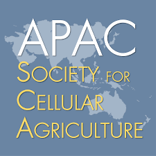 Scaling up in Cultivated Foods