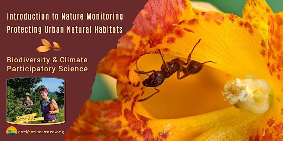 Introduction to Nature Monitoring in the City