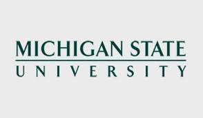 msu