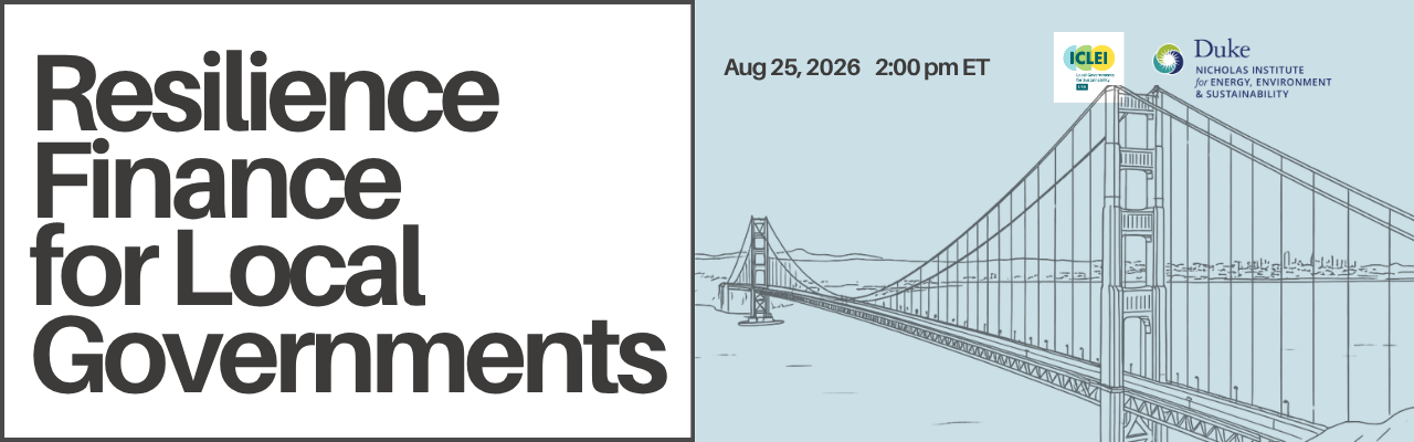 Resilience Finance for Local Governments