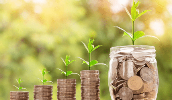 Finance and New Economies
