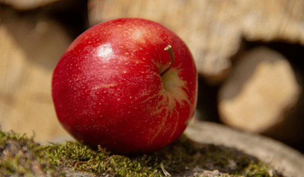 Food Production and Distribution