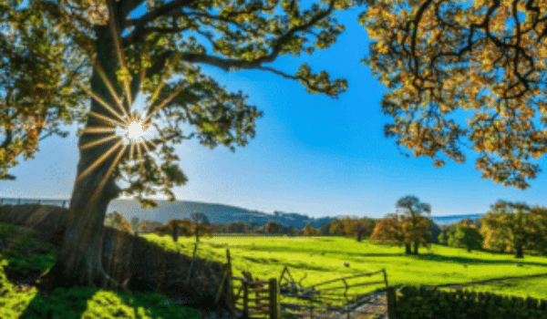 Public and Planetary Health